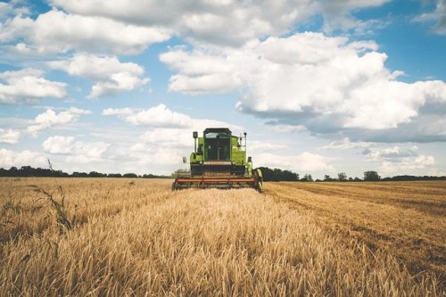 Las más grandes exposiciones agrícolas nacionales e internacionales